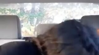 Ebony Giving Head In Car Backseat
