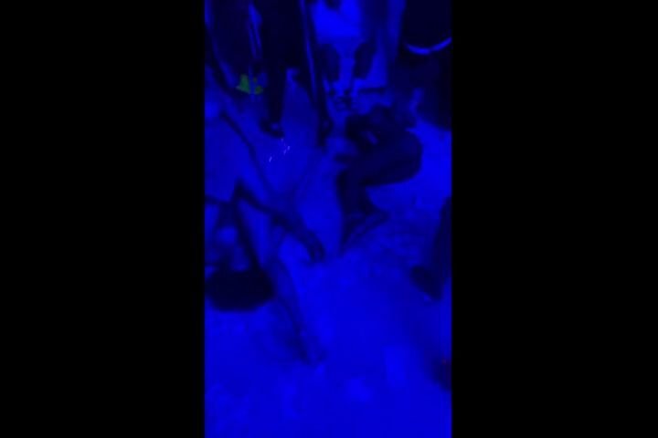 Players club strippers twerking