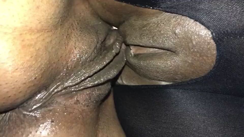 Wet lesbian pussies